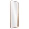 Riga Mirror Gold Modern Floor Mirror Sleek Steel Frame 65 Inch